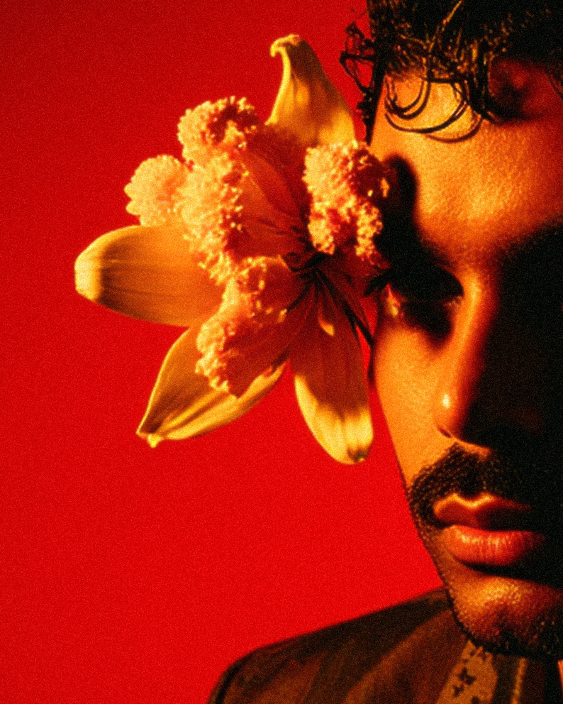 marco-vincit-Portrait No008.png — Red Light, Marco Vincit